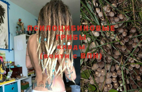 PSILOCYBIN Володарск