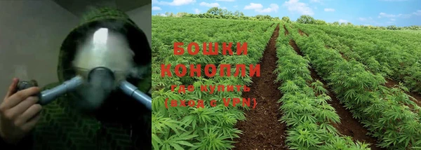 PSILOCYBIN Володарск